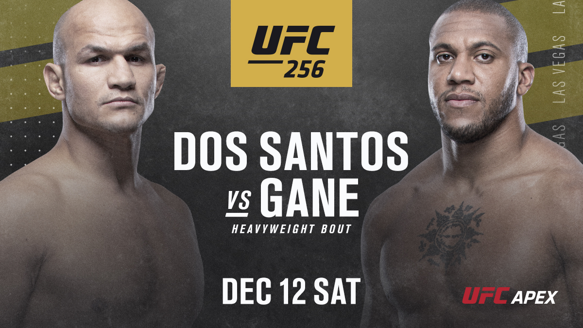 UFC 256 - Las Vegas  - Poster et affiche