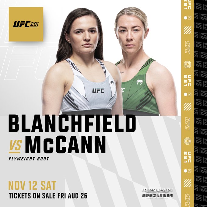 UFC 281 - New York City - Poster et affiche