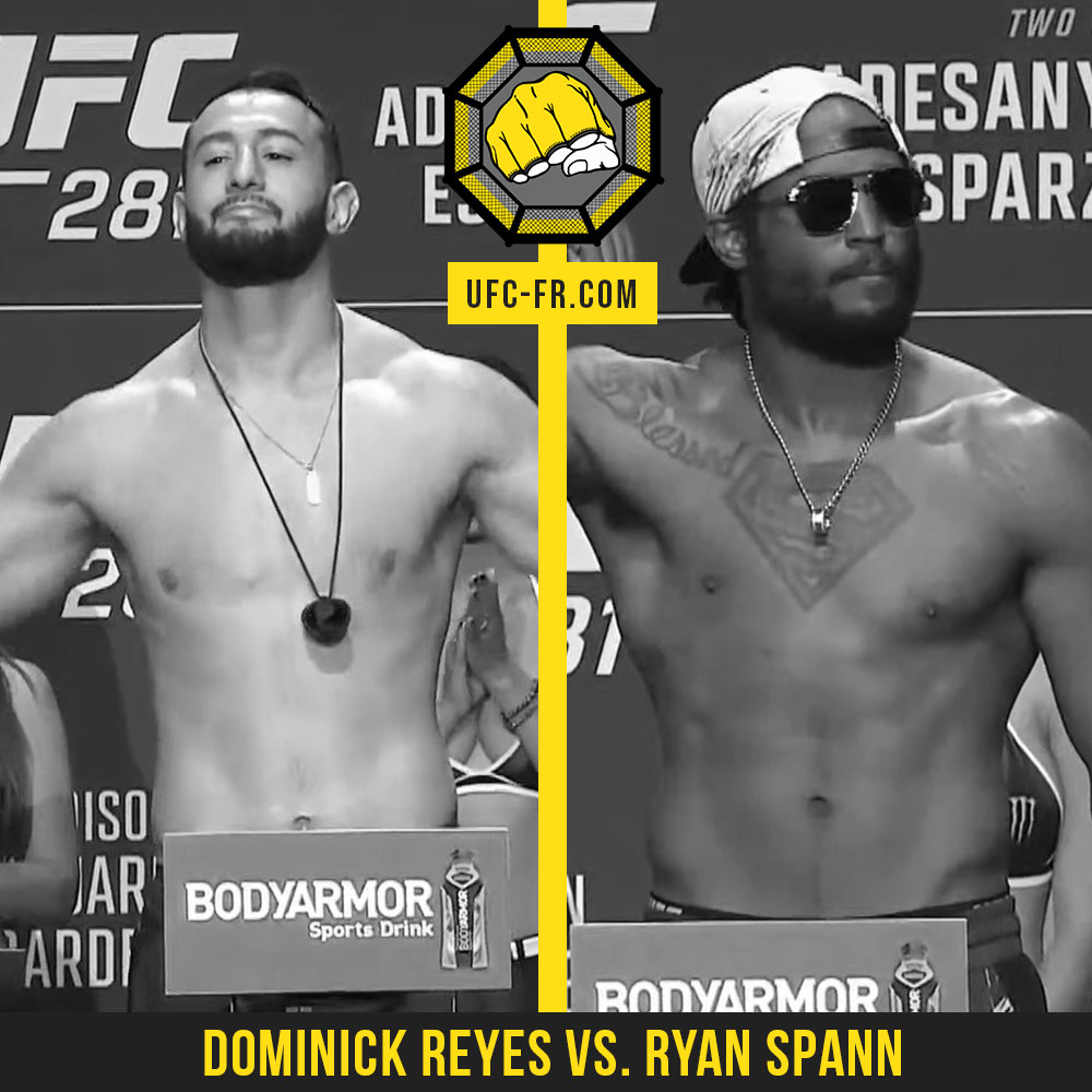 UFC 281 - Dominick Reyes vs Ryan Spann
