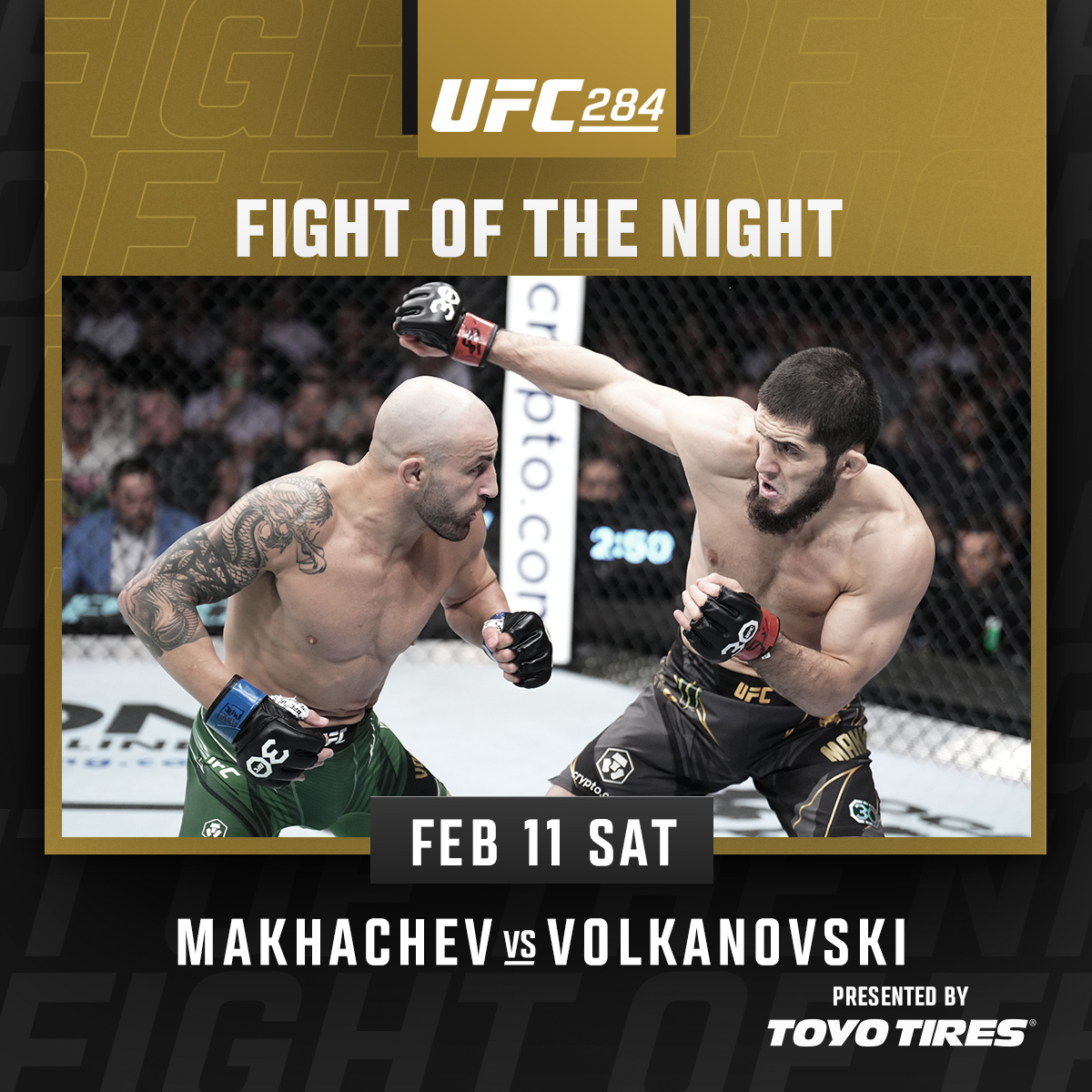 UFC 284 - Bonus