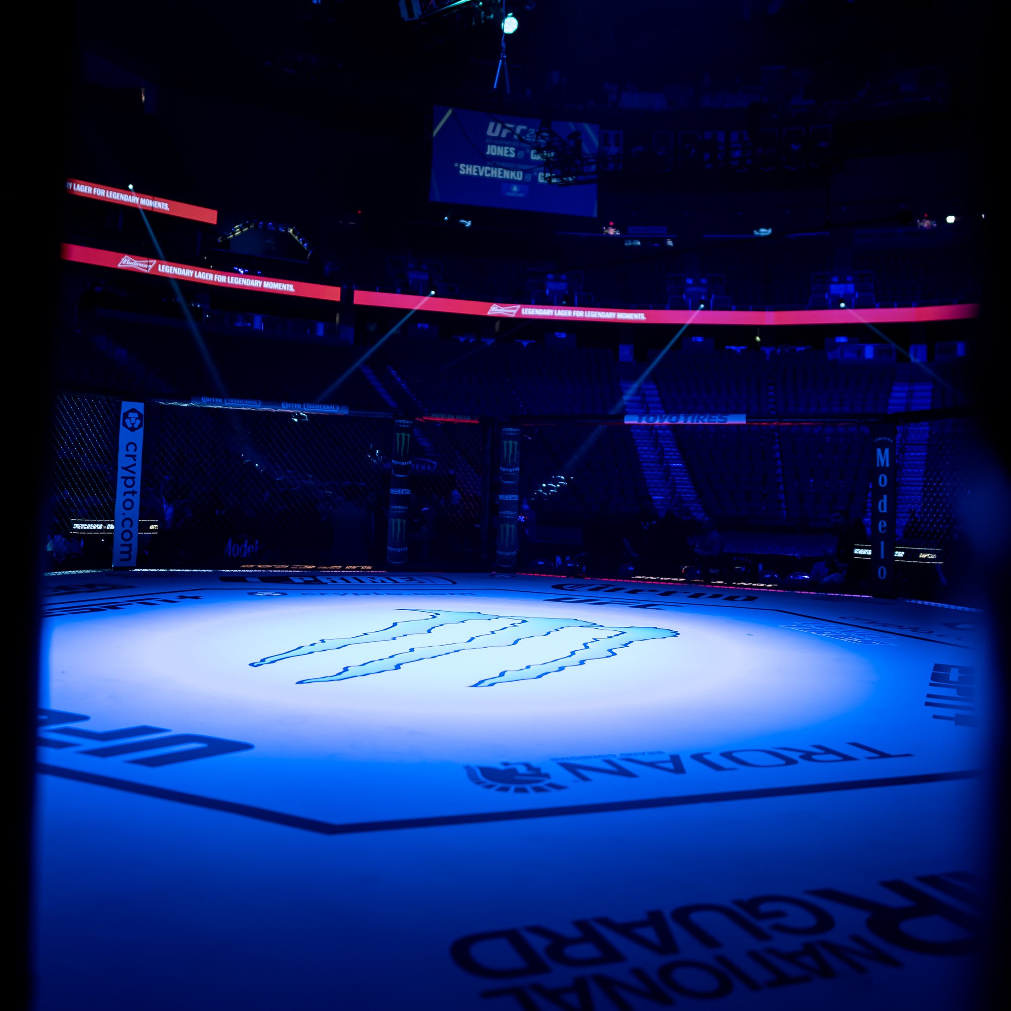 UFC 285 - Photos