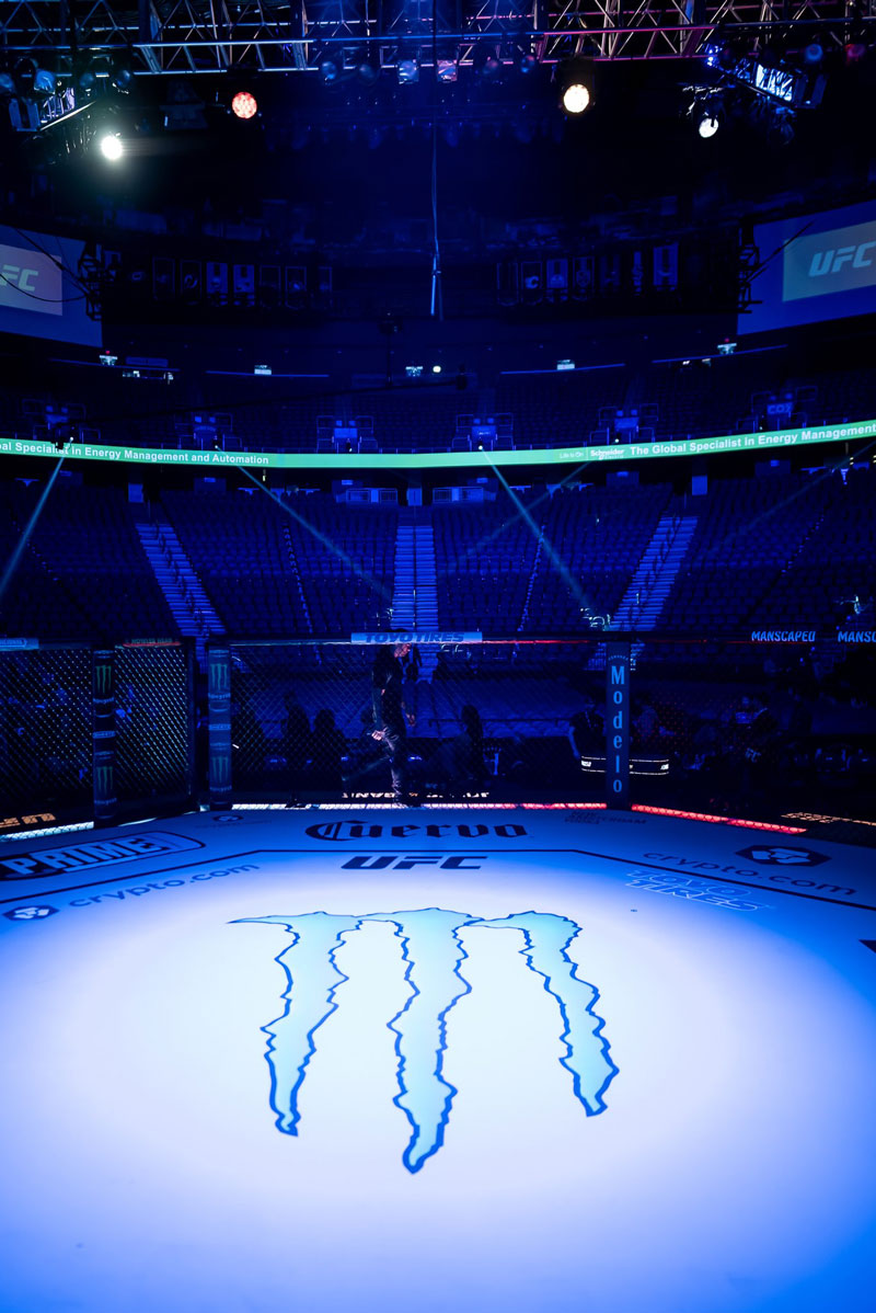 UFC 285 - Photos