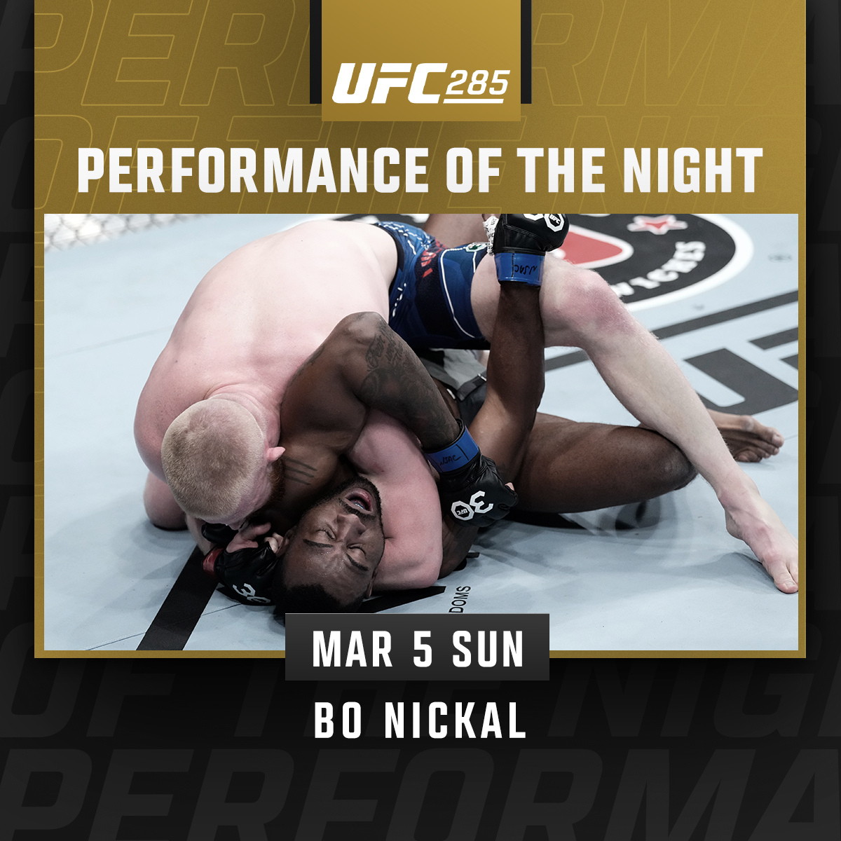 UFC 285 - Bo Nickal