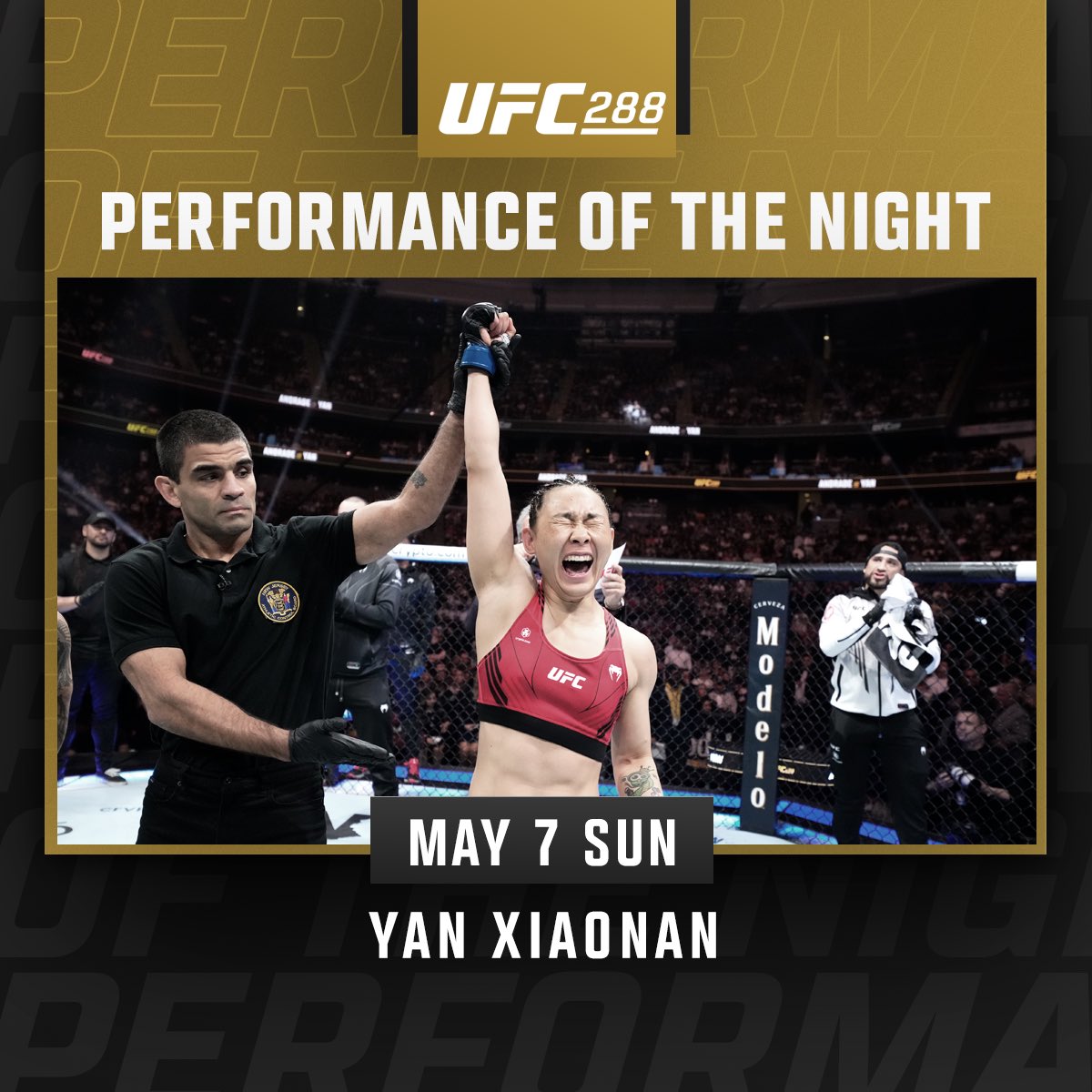 UFC 288 - Xiaonan Yan
