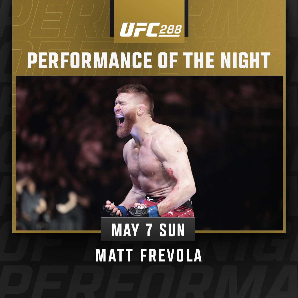 UFC 288 - Matt Frevola