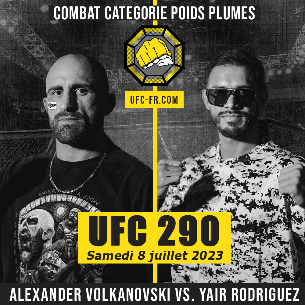 UFC 290 - Las Vegas - Poster et affiche