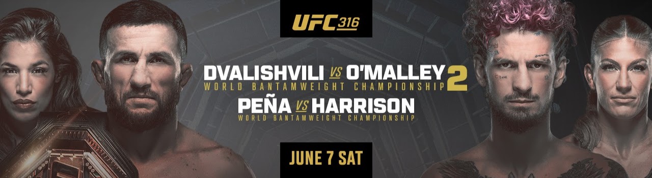 UFC 316 - Newark - Poster et affiche