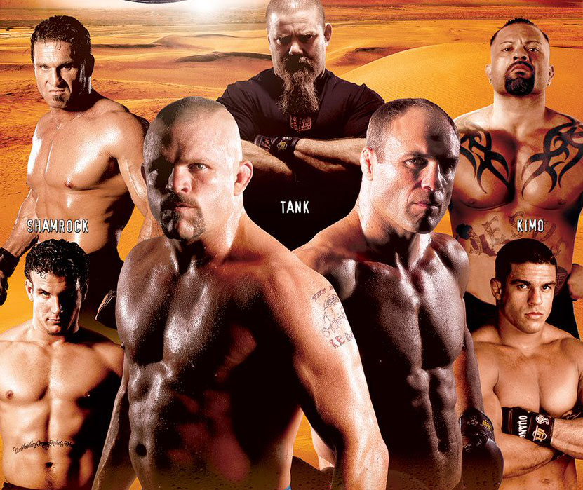 Poster/affiche UFC 43